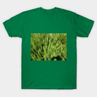 A sea of ​​rosemary T-Shirt